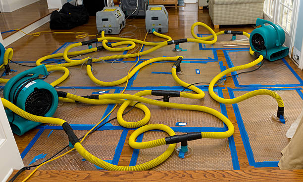 Professional Flood Damage Restoration technician working in Lakewood, WA